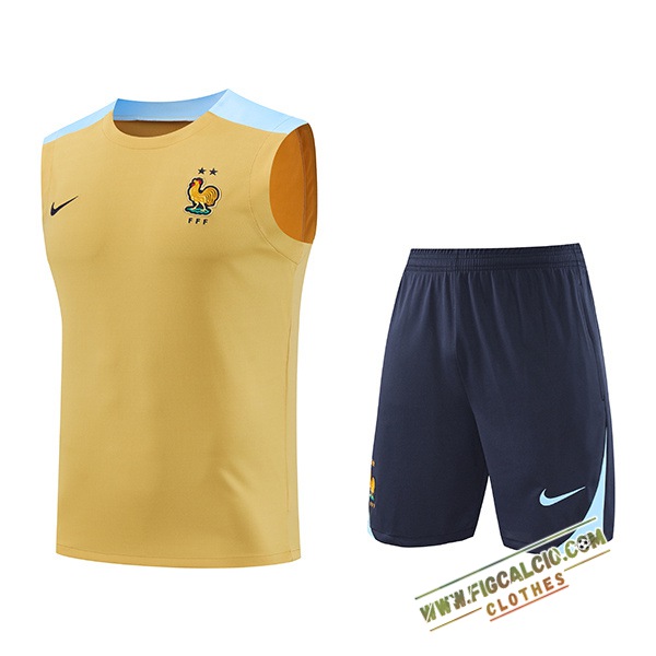 Kit Canotta Allenamento Francia Giallo/Blu 2024/2025