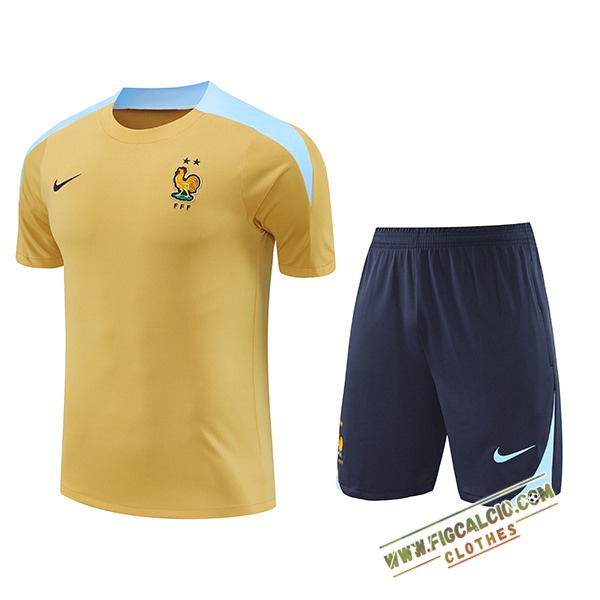 Kit Maglia Allenamento Francia Giallo/Blu 2024/2025