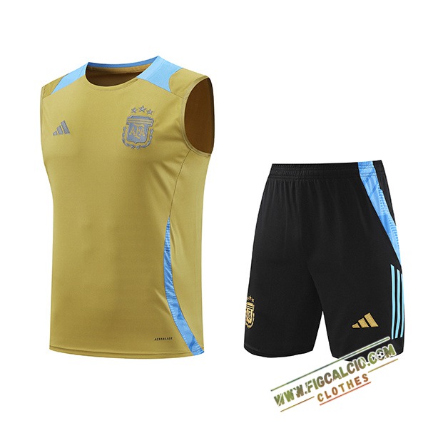Kit Canotta Allenamento Argentina Giallo/Blu 2024/2025