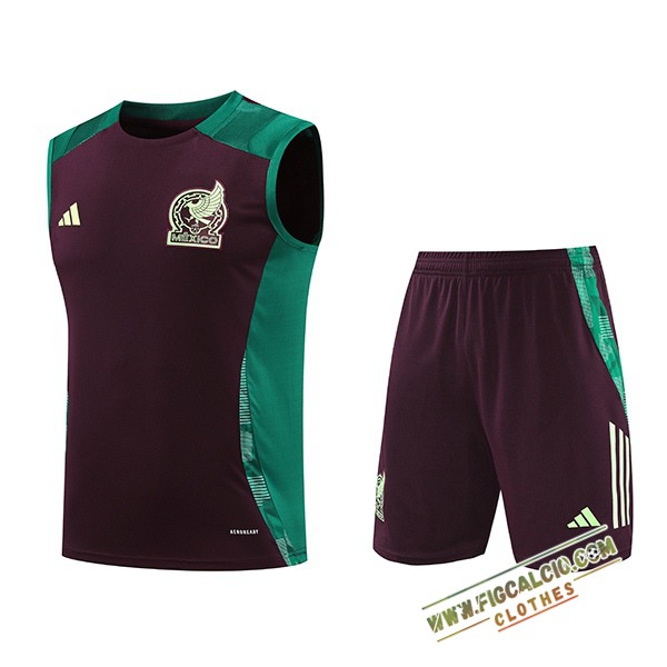 Kit Canotta Allenamento Messico Verde/Marrone 2024/2025 -02