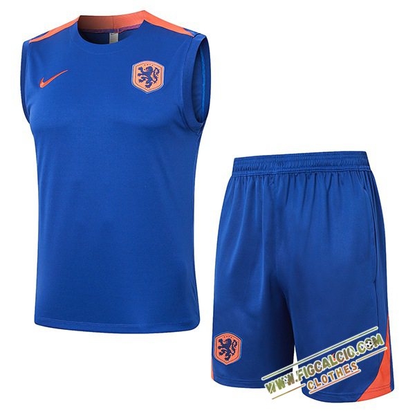 Kit Canotta Allenamento Paesi Bassi Blu/Arancia 2024/2025