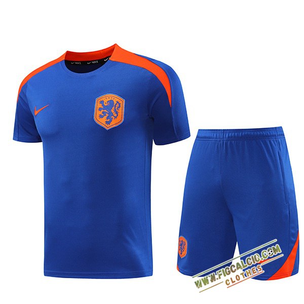 Kit Maglia Allenamento Paesi Bassi Blu/Arancia 2024/2025
