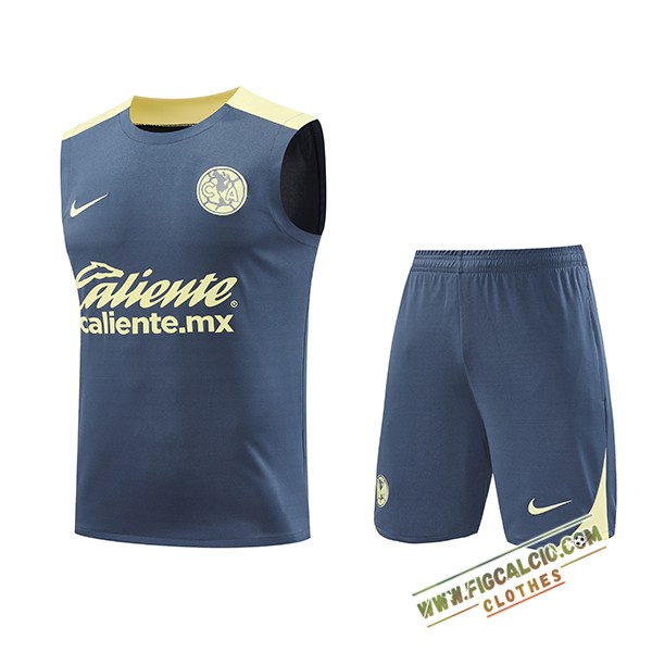 Kit Canotta Allenamento Club America Grigio/Giallo 2024/2025