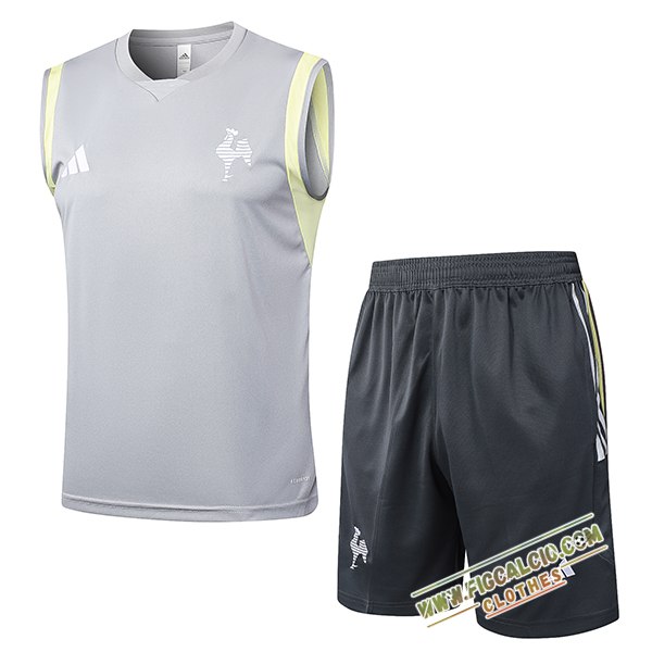 Kit Canotta Allenamento Atletico Mineir Grigio Chiaro 2024/2025