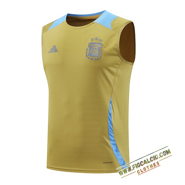 Canotta Allenamento Argentina Giallo/Blu 2024/2025