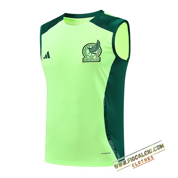 Canotta Allenamento Messico Verde 2024/2025