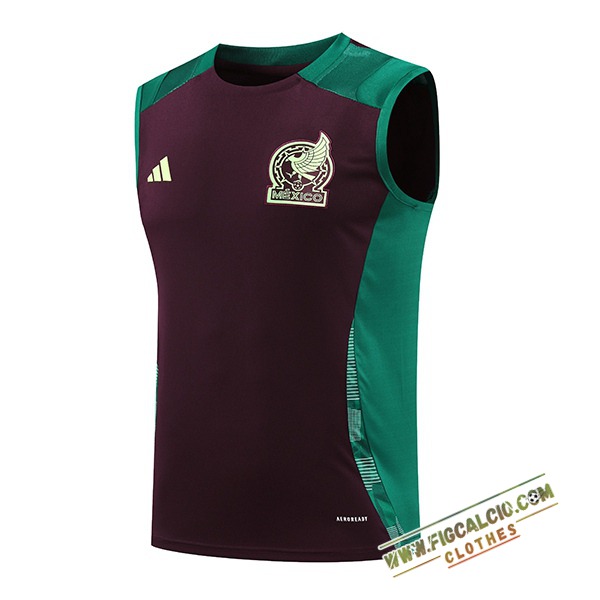 Canotta Allenamento Messico Verde/Marrone 2024/2025 -03