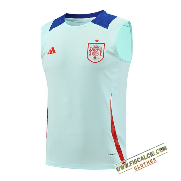 Canotta Allenamento Spagna Azzurro 2024/2025