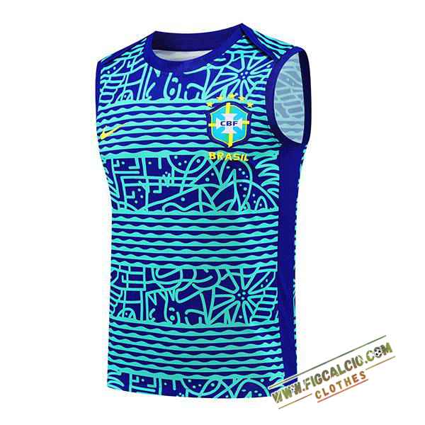 Canotta Allenamento Brasile Blu/Verde 2024/2025
