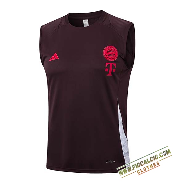 Canotta Allenamento Bayern Monaco Marrone/Rosso 2024/2025