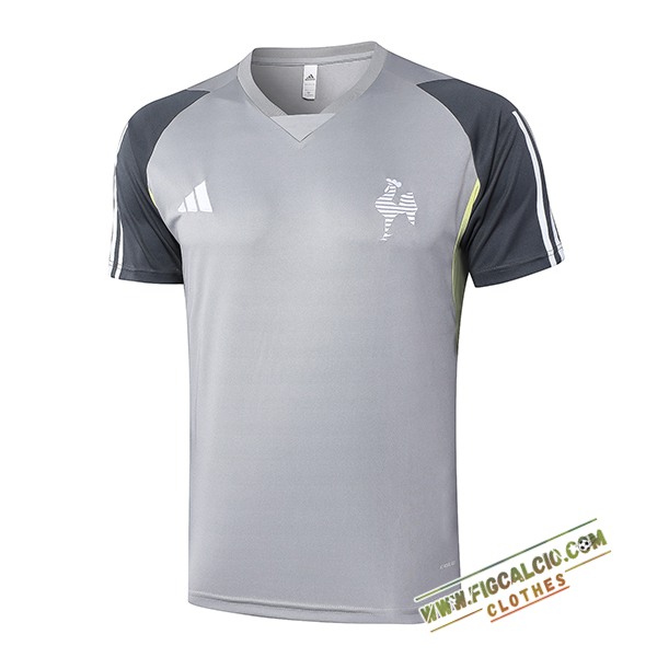 T Shirt Allenamento Atletico Mineiro Grigio 2024/2025
