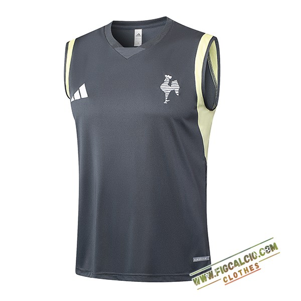 Canotta Allenamento Atletico Mineir Grigio Scuro 2024/2025