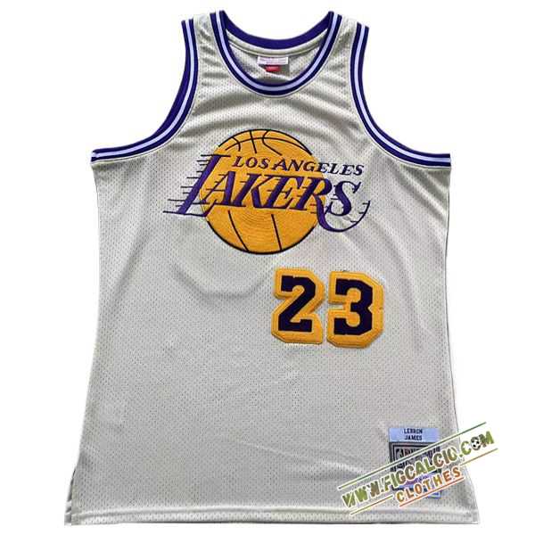 Maglia Los Angeles Lakers (JAMES #23) 2024/25 Beige/viola/Giallo
