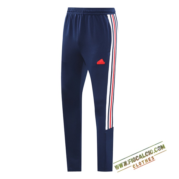 Pantaloni Da Allenamento Adidas Blu Reale 2024/2025