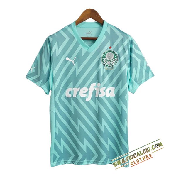Maglie Calcio Palmeiras Portiere Verde 2024/2025