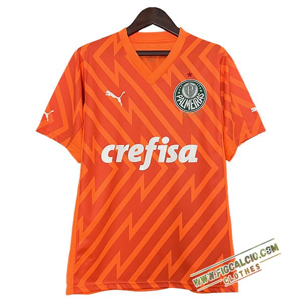 Maglie Calcio Palmeiras Portiere Arancia 2024/2025