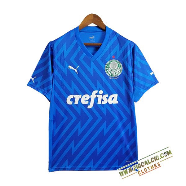 Maglie Calcio Palmeiras Portiere Blu 2024/2025
