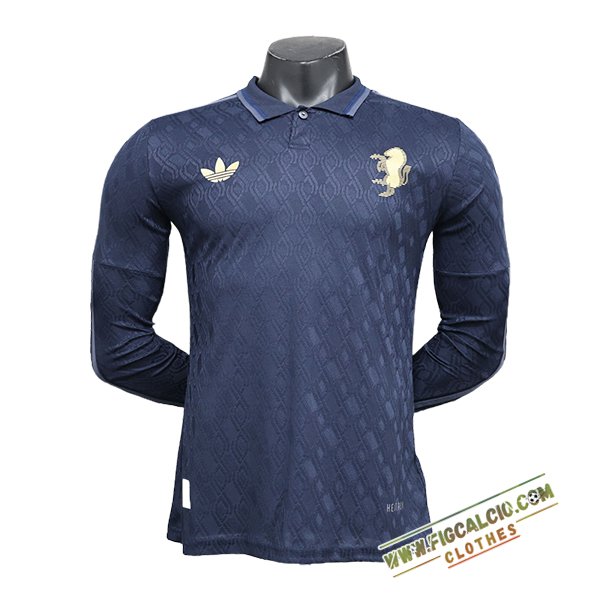 Maglie Calcio Juventus Manica Lungas Seconda 2024/2025