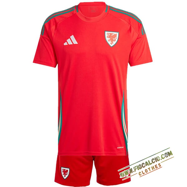 Maglie Calcio Galles Bambino Prima 2024/2025