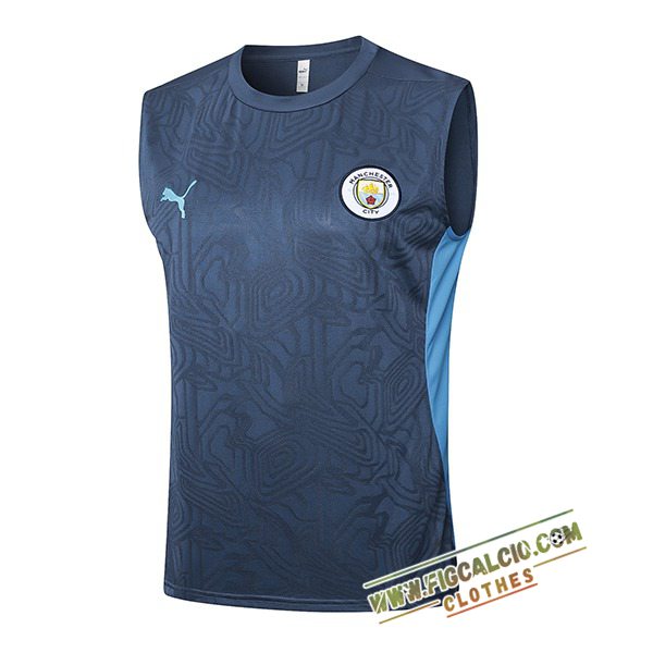 Canotta Allenamento Manchester City Grigio/Blu 2025/2026