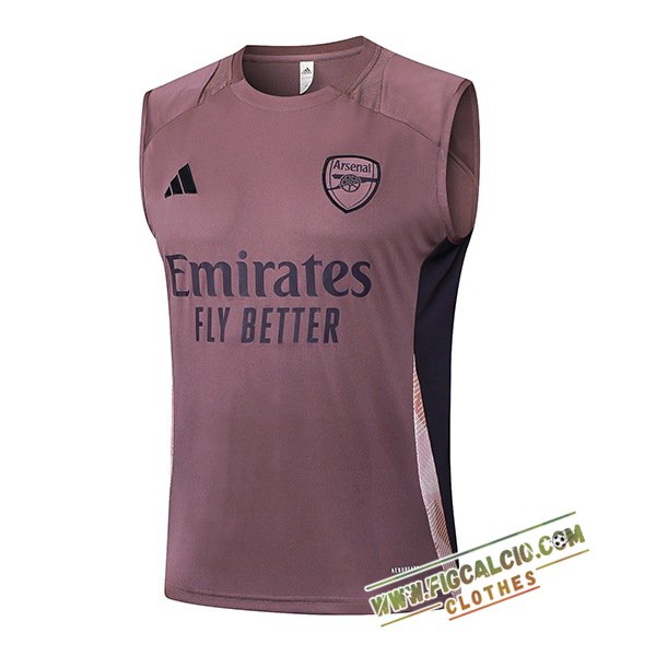Canotta Allenamento Arsenal viola/Nero 2025/2026