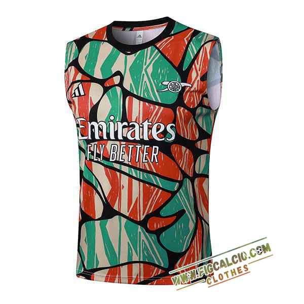 Canotta Allenamento Arsenal Rosso/Verde/Beige 2025/2026