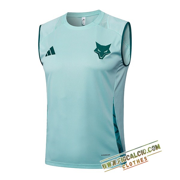 Canotta Allenamento Cruzeiro Verde 2025/2026 -02