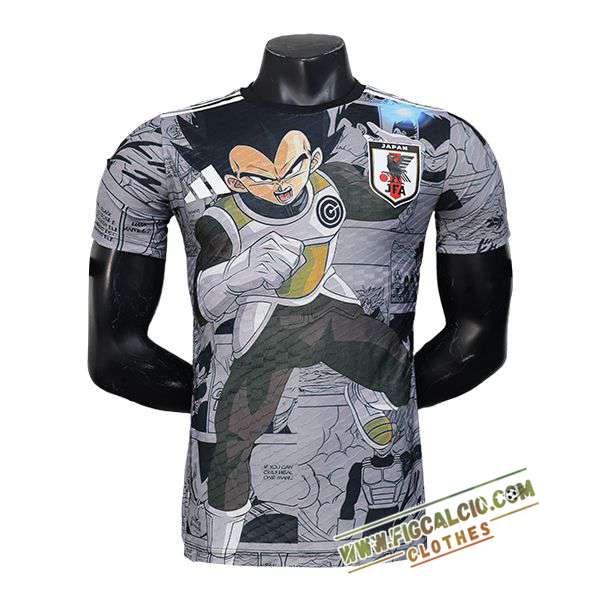Maglia Nazionale Giappone Special Edition Grigio 2025/2026