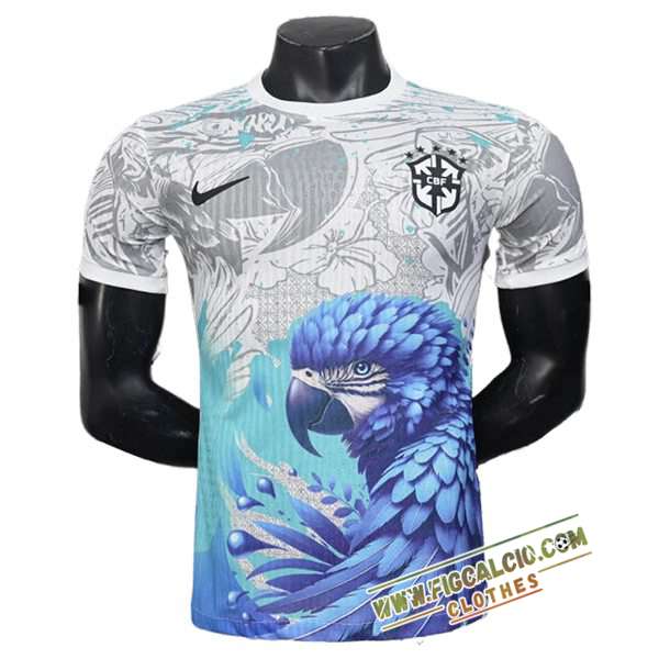 Maglia Nazionale Brasile Special Edition Grigio/Blu 2025/2026