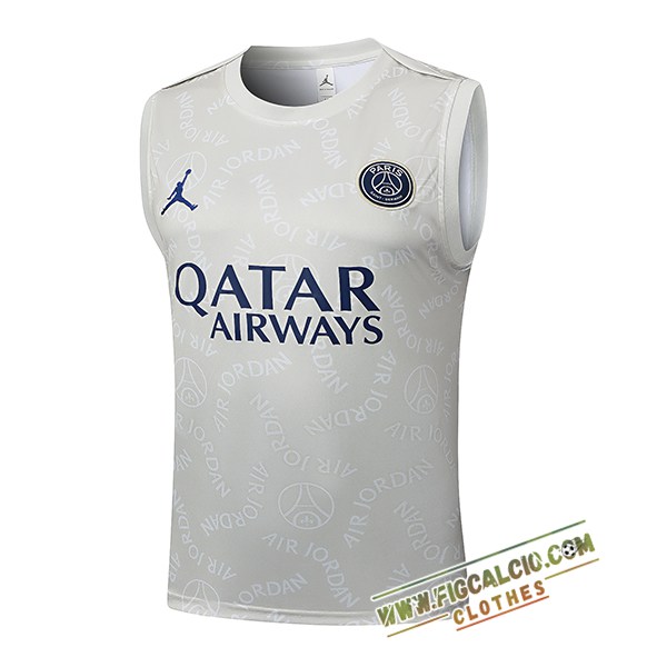 Canotta Allenamento PSG Grigio Chiaro 2025/2026