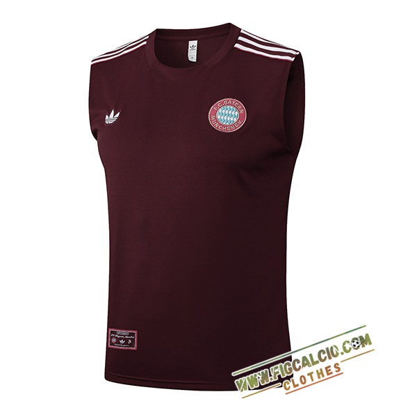 Canotta Allenamento Bayern Monaco Marrone/Bianco 2025/2026