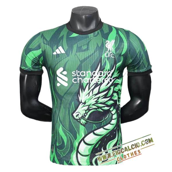 T Shirt Allenamento FC Liverpool Verde 2025/2026